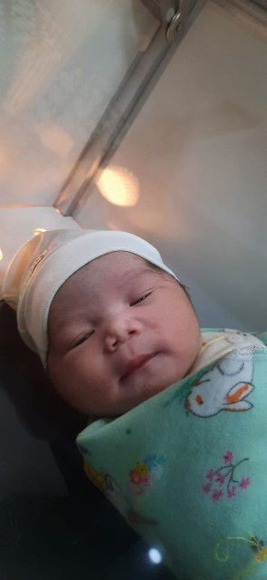 Alhamdulillah launching