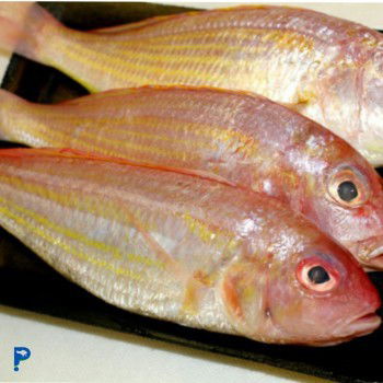 Boleh nggak habis 3bulan lahiran caesar makan ikan ini ?