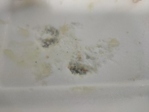 เครียดมากค่ะ เมื่อวานกินผัดไทยจนหมดแล้วเพิ่งเห็นว่ากล่องโฟมละลายเยอะมาก กลัวลูกจะเป็นอะไร