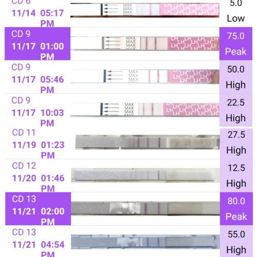 OPK positive CD9 dan semakin menurun , tiba² niari CD13 naik positive tnggi lagi . Normal ke ?