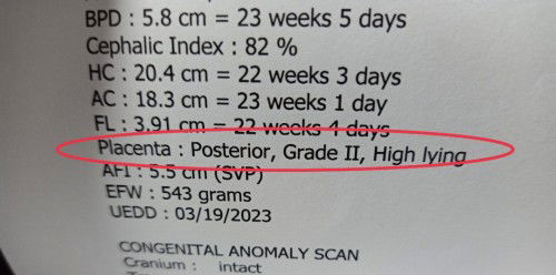 Placental maturity at 22wks