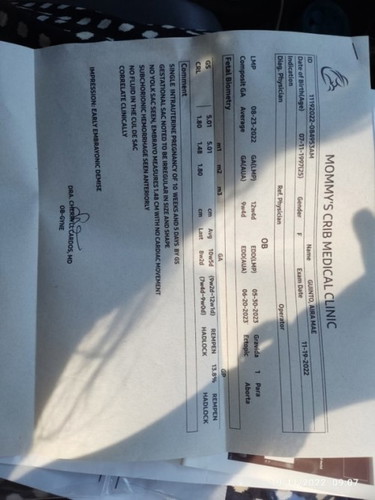 12 weeks no yolk sac, no heart beat, no signs of miscarriage