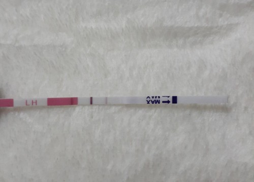Guna OPK utk test hamil. Valid ke?
