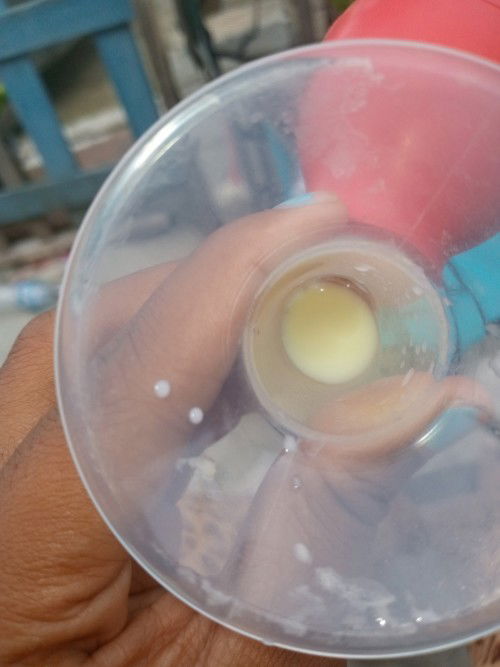 Asi kuning kehijauan