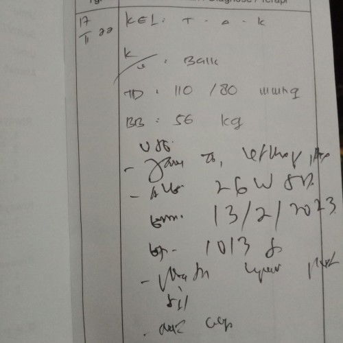 Sudah pada usg belum ni bun yg hpl februari