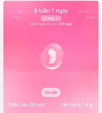 bầu 8tuần trở đi sẽ quyết định giới tính thai nhi hay ko?