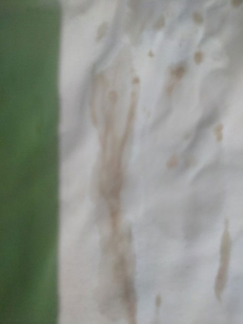 Tanya masalah bercak