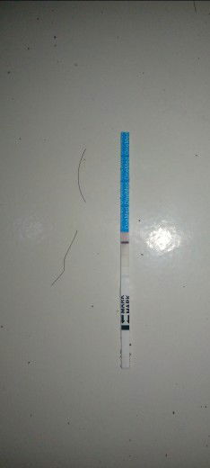 +/- positif apa negatif