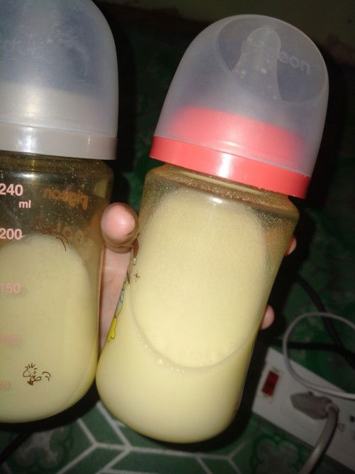 นมผงเป็นไข