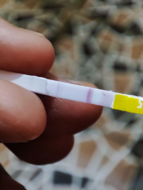 Apa hasil tespek seperti ini