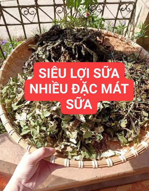 mom nao muốn sữa về nhiều ib e chỉ lá lợi sữa cho ạ