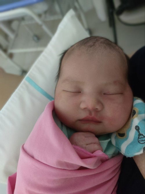 HPL 5 Des Launching 29 Nov