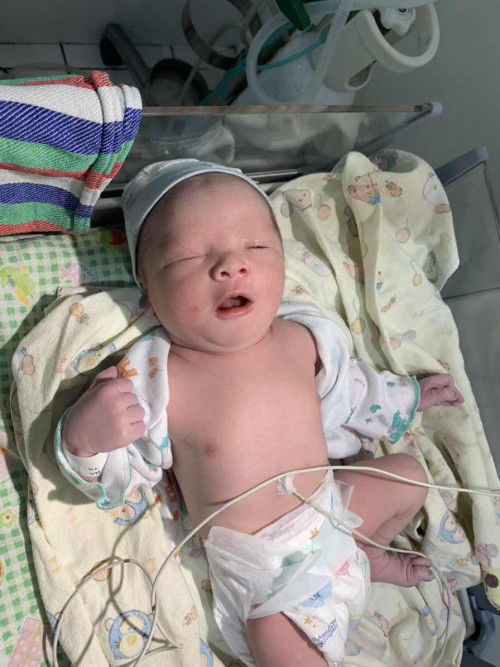 HPL 12 Des Launching 22 Nov