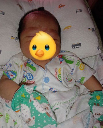 HPL 9 Desember, Lounching 26 November