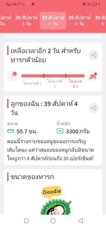 39+4วีคแล้ว