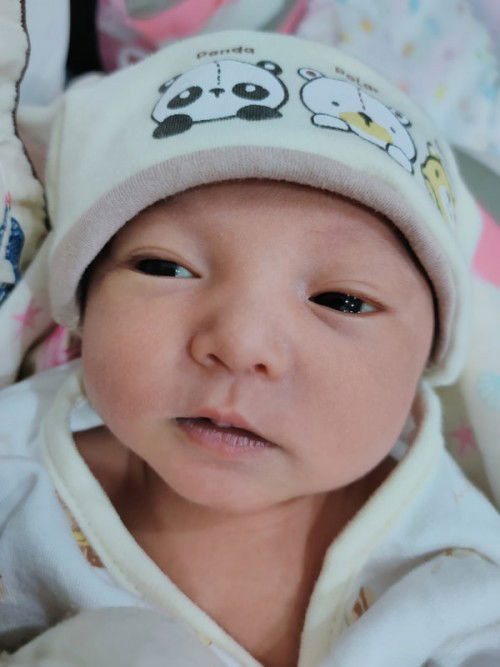 การเลี้ยงลูก