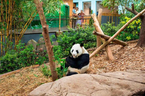 LAST DAY - MANDAI WILDLIFE RESERVE E-TICKETS GB #1