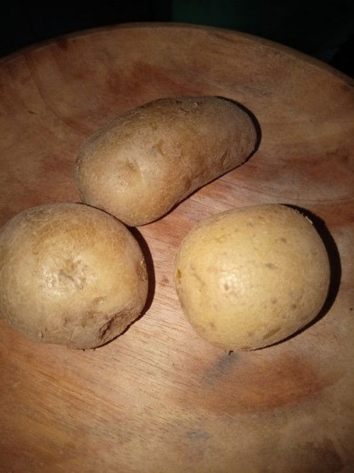 Hamil tm1 ngga nafsu makan