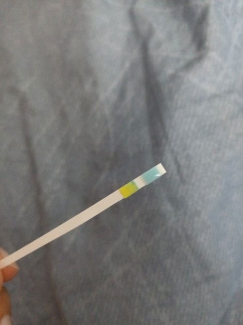 ผลตรวจปกติไหม