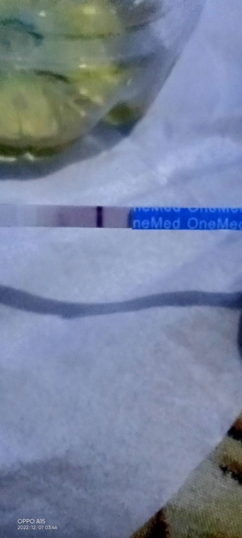 Belum punya pengalaman