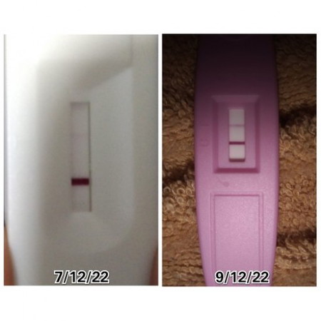 PREGNANCY TEST