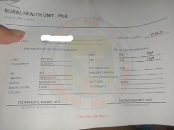 good pm po sainyo,tanong ko lang po ano ibig sabihin ng urinalysis results ko salamat po.