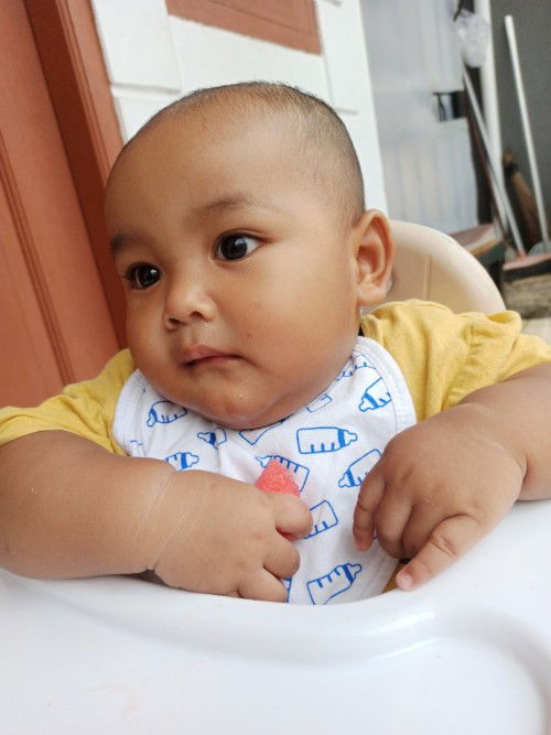 umur 8 bulan mpasi finger food