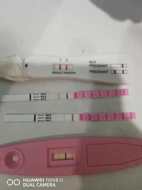 mengandung ketika masih menyusu