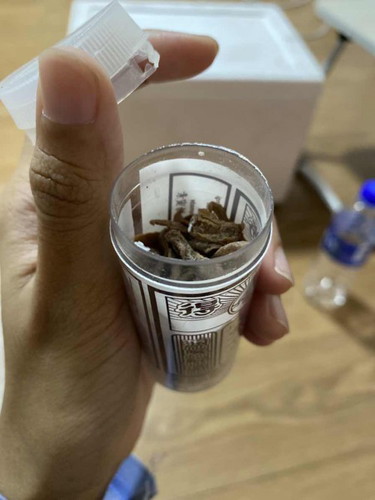 Makan asam selepas obimin