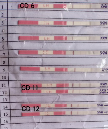 OPK +ve atau tidak ?