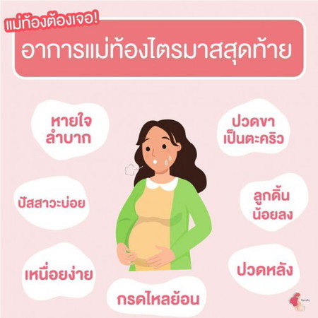 ไตรมาสสุดท้าย