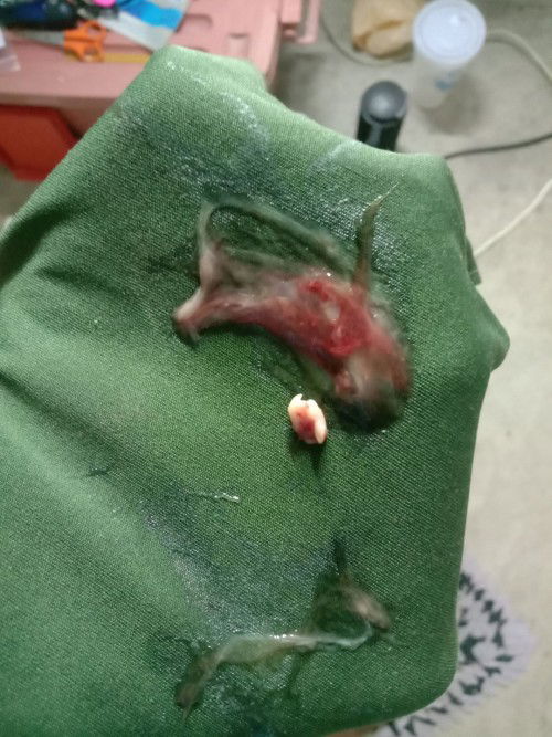 สอบถามแม่ๆคะ