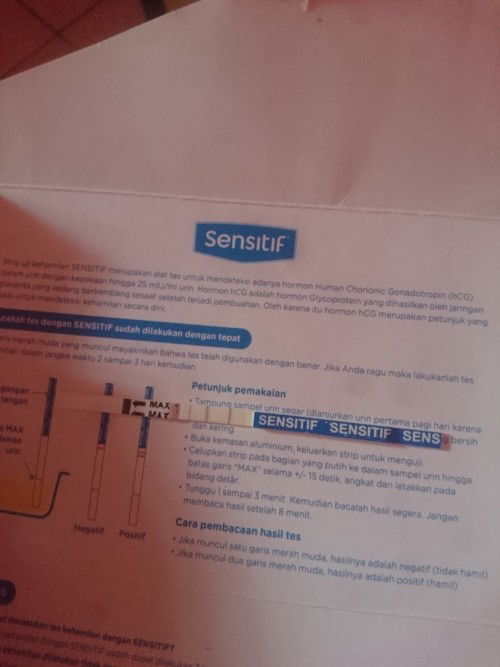 Hamil sambil menyusui