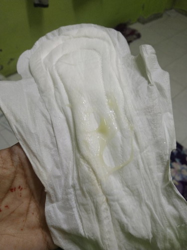 40 minggu
