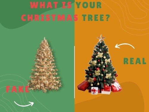 What is your Christmas tree? 🎄