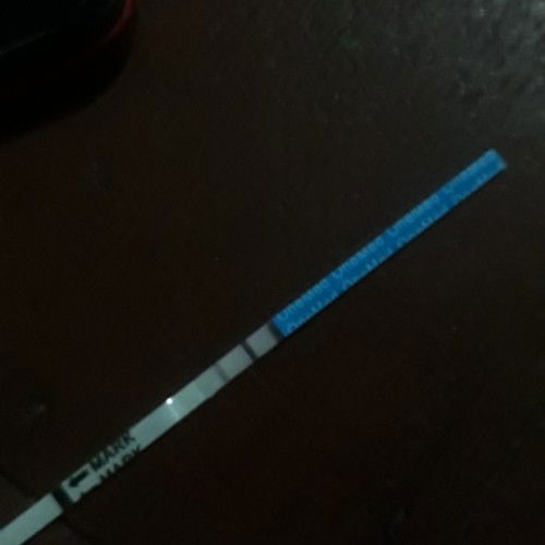 Kehamilan dan pemeriksaan