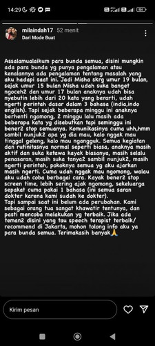 Ada yang ngalamin ga bunda bunda? Dan yang pasti jg wajar ga anak saya usia 17bln kok blm bisa ngmng