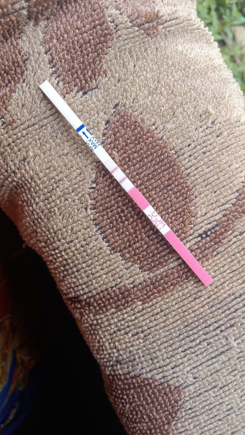 Ini duh fiks beneran positif belum