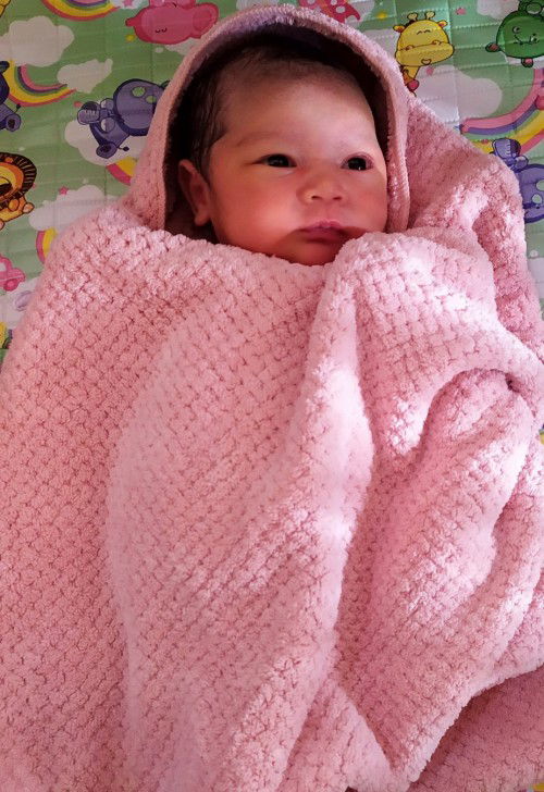 Baby Noe sudah Lounching