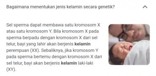 Apakah saat masih Hamil muda diusia 8 Minggu kita masih bisa berusaha utk dapetin Anak laki2?