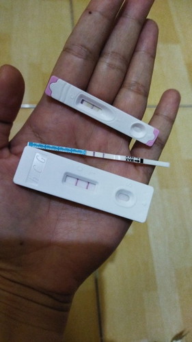 Kapan usg terbaik ya bun?