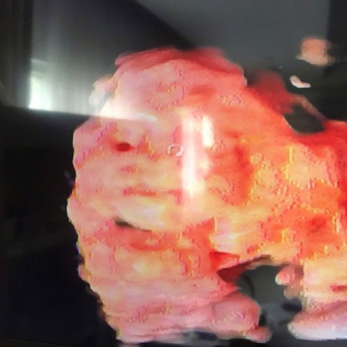 Bismillah minta sarannya..