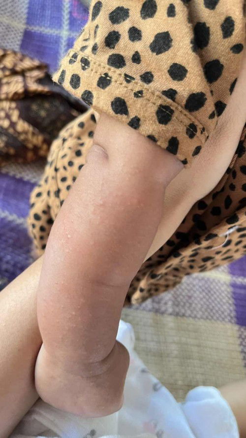 Bun ada yang tau ini kenapa?