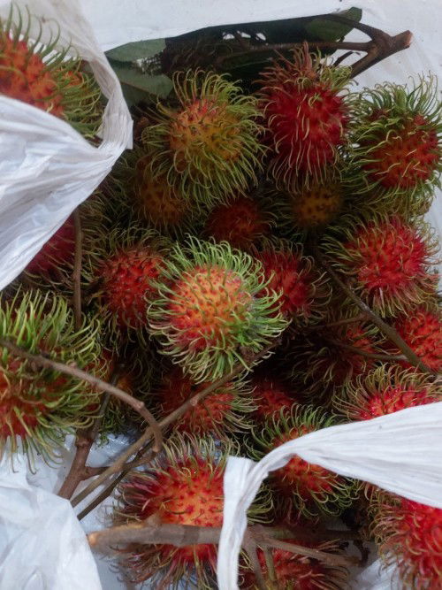 Buah rambutan