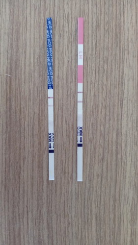 OPK & UPT ...