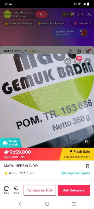 19week usia kandungan