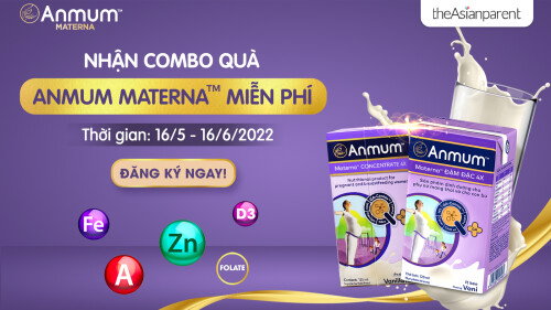 3rd trimester