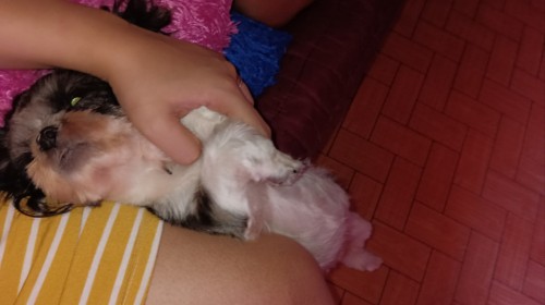 Hello po, ask lng kung ano po b dpt sundin na edd nka 3 ultrasound n po kc ako at iba iba edd nakita
