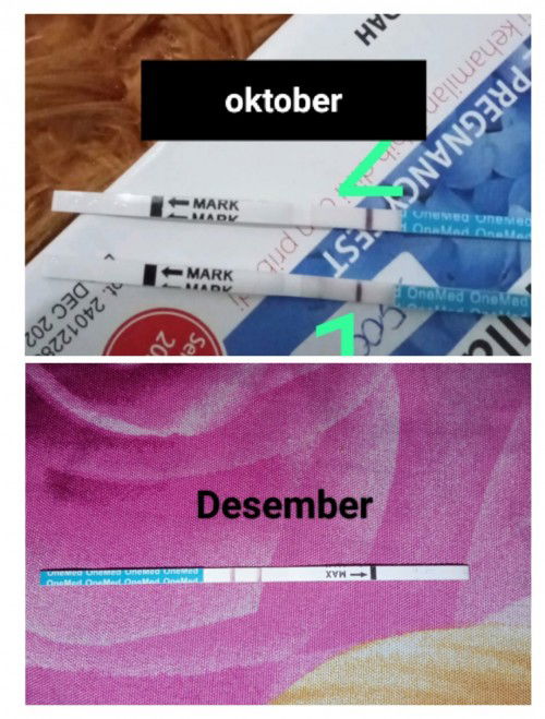 Mau tanya bun yang berpengalaman