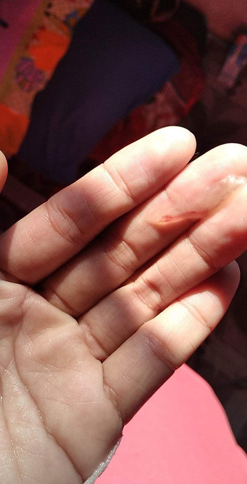 ขอความเเนะนำ